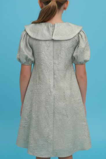 صورة فستان اخظر فاتح كشكشة على الصدر وفينكات فضيه